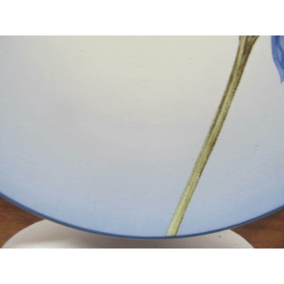 Noritake Colorwave Blue Cornflower 8 3/8" Accent Salad Plate Condition New - Picture 3 of 10